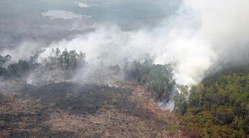 Perang Melawan Pembakar Lahan di Riau