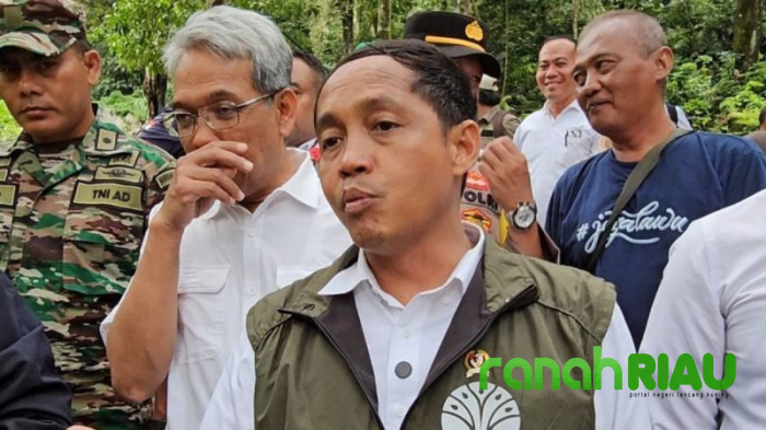 Cek Daftarnya, Kemenhut Tutup Pendakian di Lima Gunung Indonesia