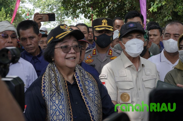 Cegah Abrasi, Gubri dan Menteri LHK Tanam Pohon di Tepian DAS Indragiri