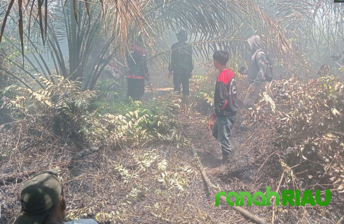 Tim Gabungan MPB Desa Senggoro Masih Lakukan Pemadaman Lanjutan Dilahan Gambut