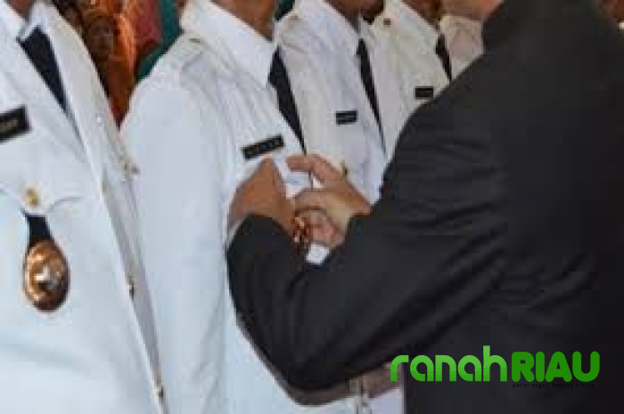 Pejabat Fungsional DPMPTSP Provinsi Riau Resmi Dilantik, Berikut Daftar Namanya  