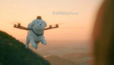 Anjing Lucu Imut Menggemaskan ini Bisa Terbang