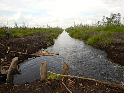 Polemik Seputar Regulasi Gambut, berikut Tanggapan Legislator