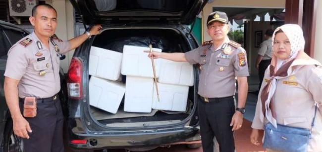 Polisi Sita Benih Lobster Senilai Rp32 Miliar