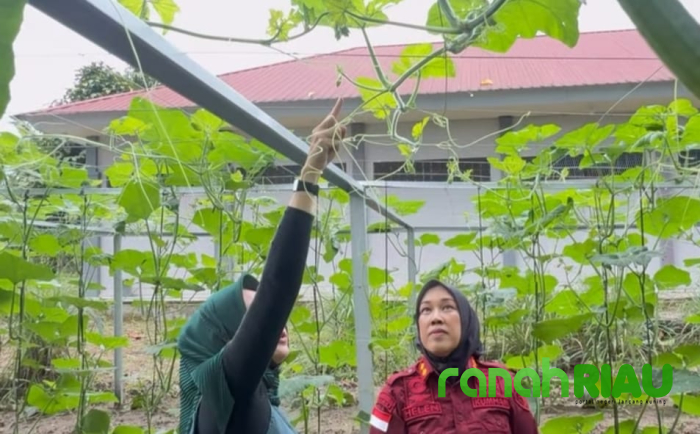 BPTP Riau Dampingi Warga Lapas Rumbai untuk Budidaya Labu Madu