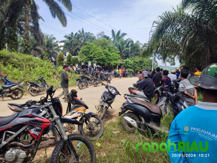 Ratusan Massa Hadang Pemasangan Patok HGU PT KTBM di Lahan Masyarakat