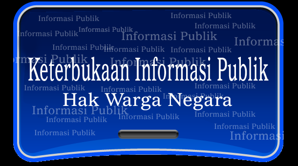 Pemprov Riau Masih Minim Soal Keterbukaan Informasi Publik