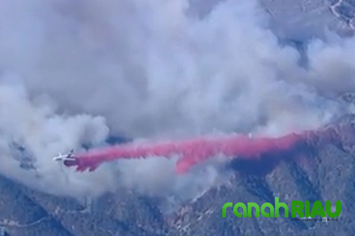 Edgar McGregor Pahlawan Warga Altadena, Menulis Peringatan Sebelum Kebakaran Makin Parah Terjadi