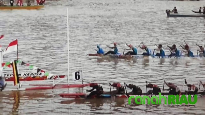 Toduang Biso Rimbo Piako adalah Kuda Hitam di Tepian Narosa Teluk Kuantan