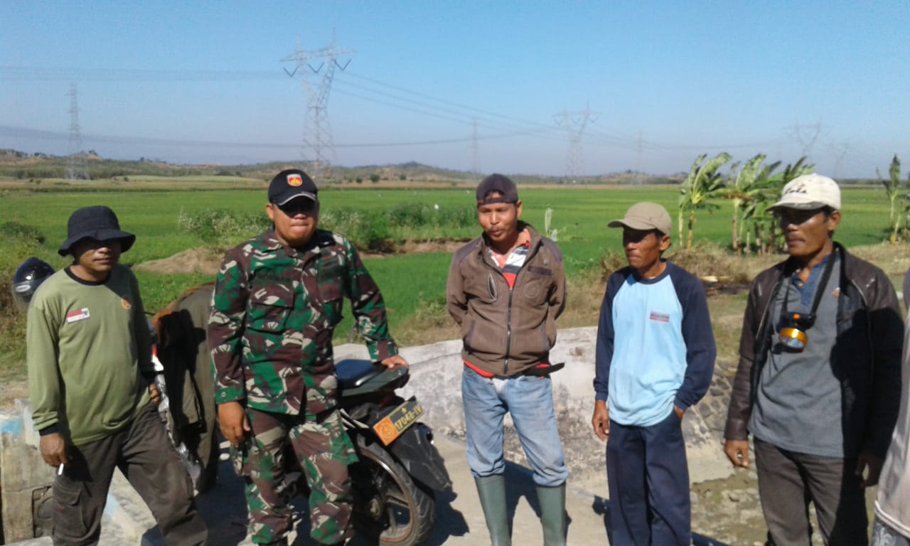  Kawal Pengairan Sawah, Danramil Kapten Jamal Turun Gunung