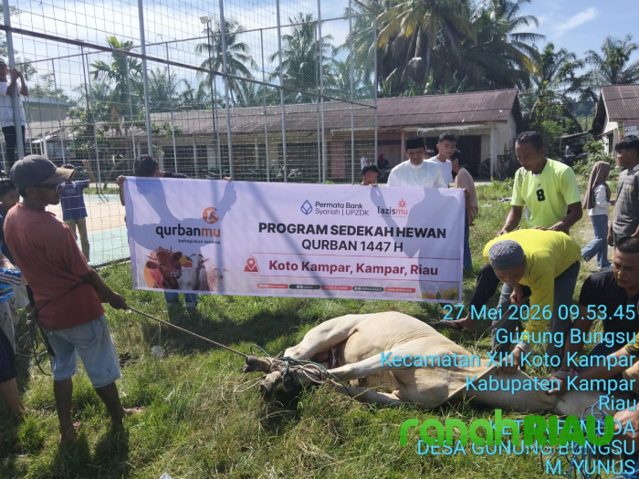 Permata Bank Syariah dan Lazismu Riau Salurkan Hewan Kurban untuk Gunung Bungsu dan Gunung Malelo