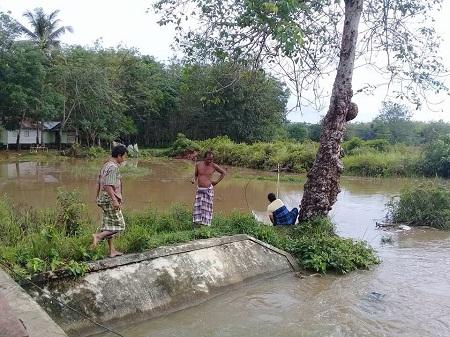 Wahhh.. Luapan Air Genangi Lahan Pertanian Warga, Ternyata Ini Penyebabnya..