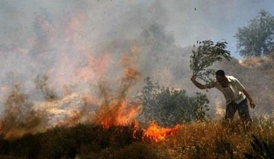 Terbukti Bakar Lahan, Seorang Pria Talang Jerinjing digiring ke Polsek Rengat
