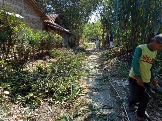 Babat Alas Bambu Untuk JUT