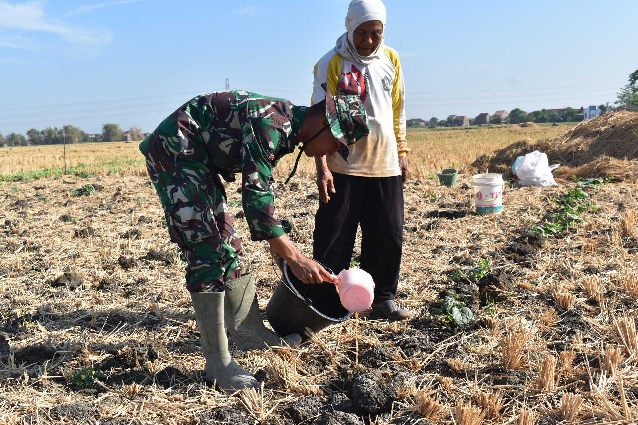 Jaga Keharmonisan Dengan Warga, Anggota Satgas Tmmd Bantu Petani Siram Tanaman