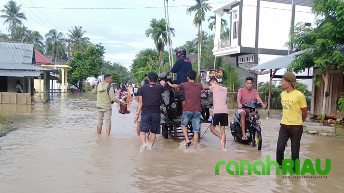 Banjir, Aktivitas Warga Lumpuh Total, Petani Tahun Ini Terancam Gagal Panen