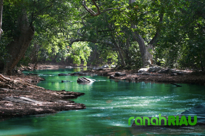 Puisi tentang Kenangan: Renjana Asa di Sungai Ingatan, karya Loym R. Sitanggang