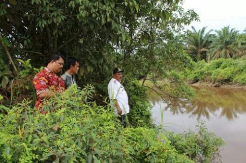Heboh..! Warga Lirik Inhu Temukan Buaya Air Tawar Bertelur di Semak-semak Pinggir Jalan Desa