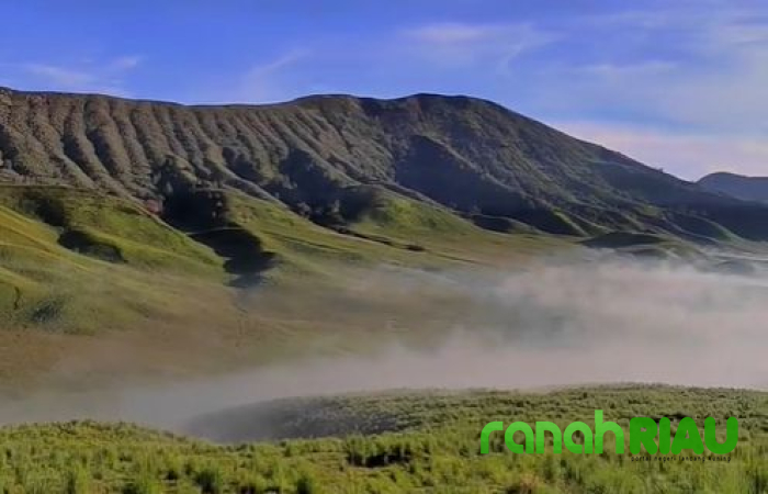 Jasa Pendamping Diduga Agar Pendaki tidak Nyasar di Ladang Ganja Semeru