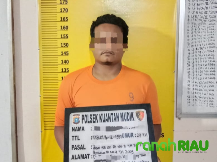 Kapolsek Kuantan Mudik Pimpin Langsung Penangkapan Pelaku PETI di Areal Perkebunan PT Agrinas Palma 
