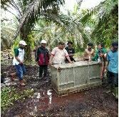 Awalnya Sudah Dipantau, Al Hasil Harimau Sumatera Ditembak Bius, Kini Tengah Diobservasi