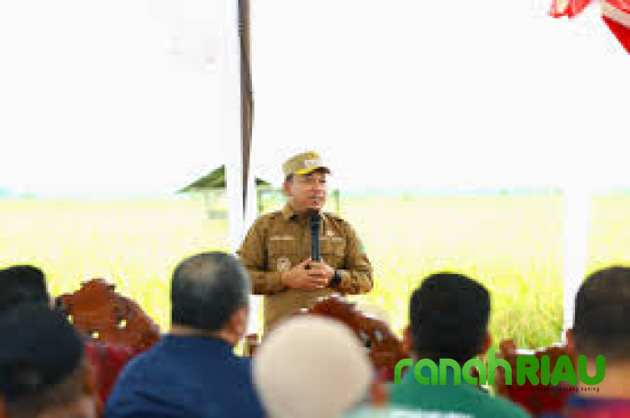 Wabup Husni Sampaikan Keluhan Petani Bungaraya kepada Pj Gubernur Riau