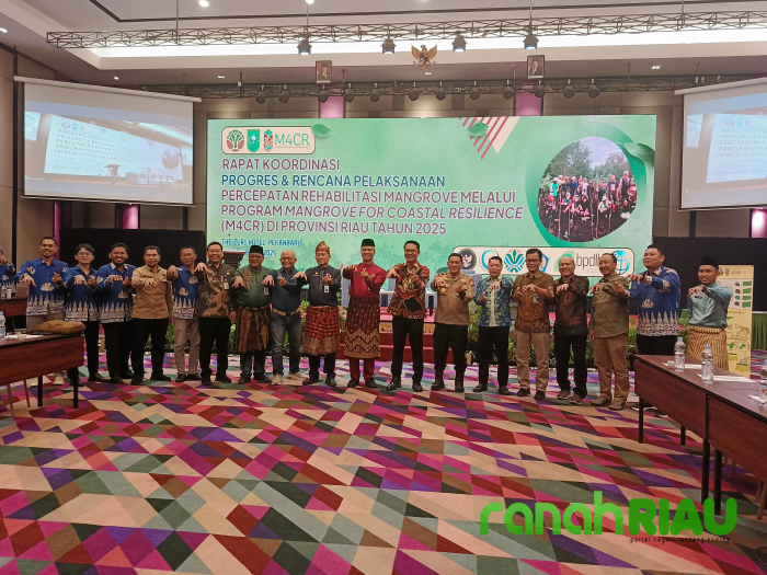 Rapat Koordinasi M4CR, Perkuat Sinergi Antarpihak dalam Upaya Percepatan Rehabilitasi Mangrove