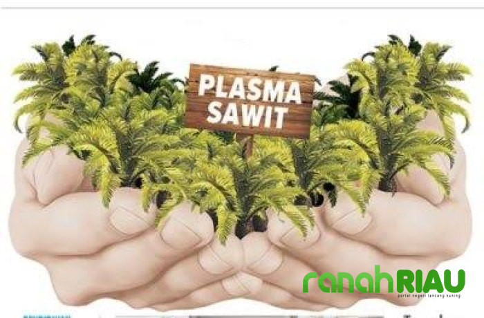 Rugi Puluhan Milyar, Koperasi Citra Harapan digugat ke Pengadilan Negeri Tembilahan