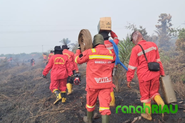 Langit Riau kembali Berselimut Asap, Ratusan Personil Manggala Agni berjibaku Padamkan Api 