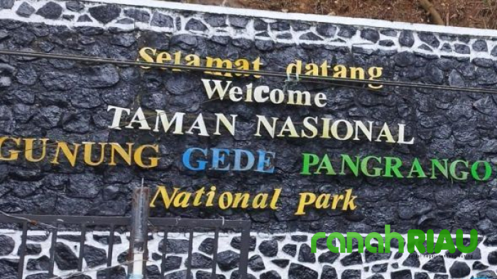 Jalur Pendakian Gunung Gede Pangrango Ditutup hingga Maret 2025, Ada Sanksi Tegas Bila Nekat
