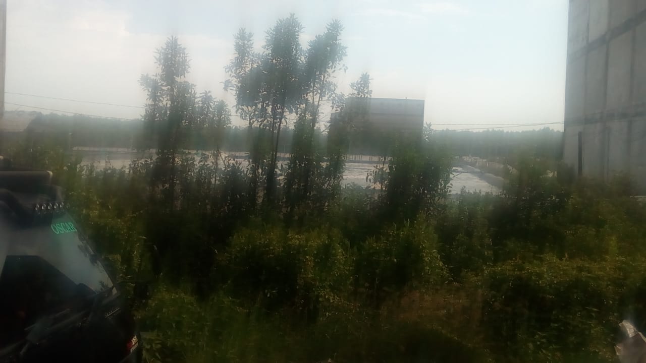 Tidak Kantongi Izin, Ratusan Hektar Hutan Mangrove di Babat oleh Pengusaha Tambak Udang