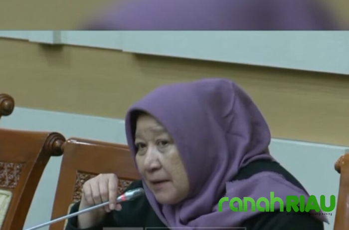 Legislator PDIP Kecam Kriminalisasi Warga dalam Penertiban Kawasan Hutan