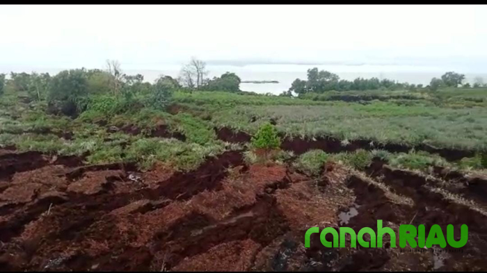 Ribuan Hektar Lahan Kena Abrasi, Kades Himbau Warga Jangan Beraktivitas Perkebunan
