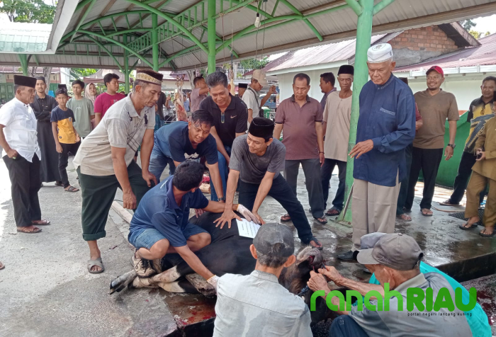 Masjid Al-Mubarak Desa Senggoro Sembelih 3 Ekor Sapi dan 6 Ekor Kambing