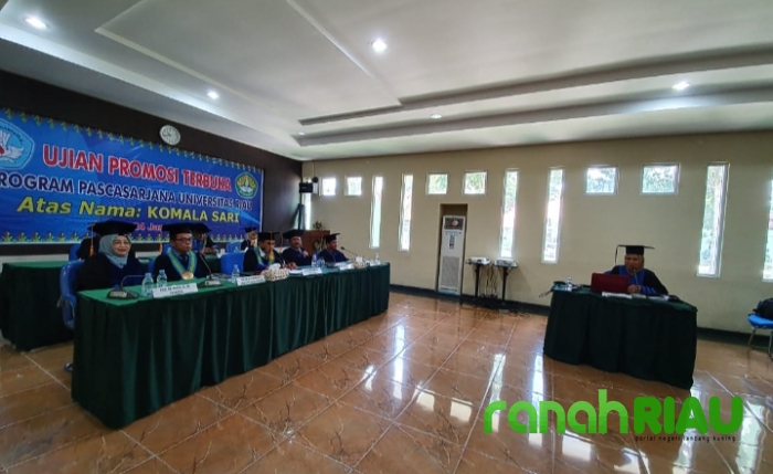 Disertasi tentang drainase, wanita ini sukses raih gelar doktor