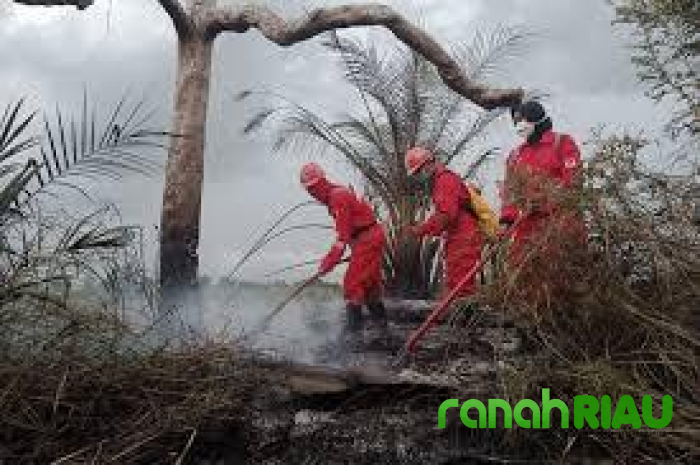 Beratnya Medan di Lapangan tak Patahkan Semangat Pasukan Manggala Agni