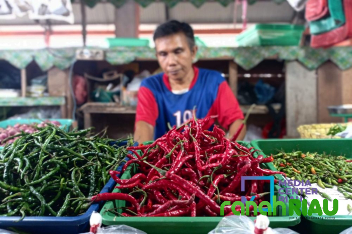 Ekonomi Riau 2025 Diprediksi Tumbuh Lebih Tinggi dan Inflasi Stabil