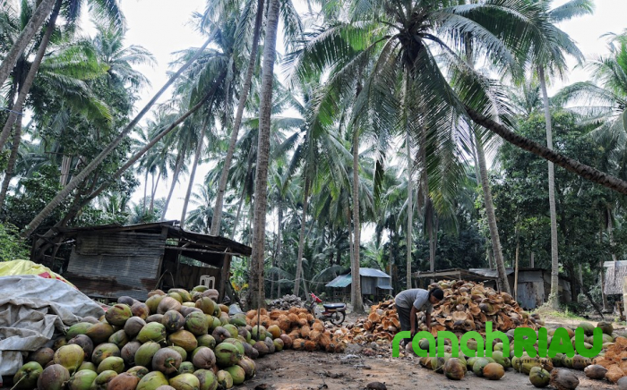 Permintaan Pasar Dunia Turun, Sambu Group Lakukan Penyesuaian