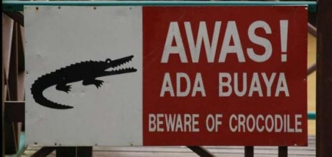  BKSDA Riau Pasang Peringatan Waspada Buaya Di Tepian Sungai Siak Pekanbaru