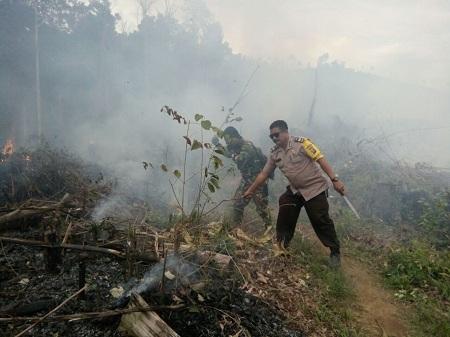 Untung Saja Aksi Bakar Hutan Ini Dapat Dicegah Polisi...