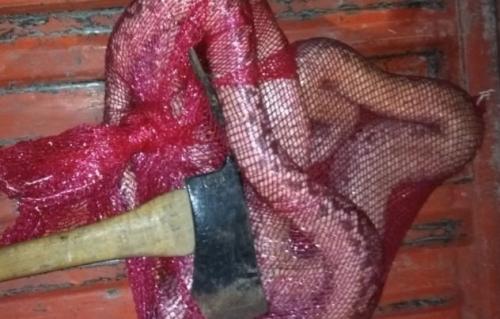 Alamak... Rumah warga Selatpanjang ini disambangi Ular Sanca sepanjang 5 Meter