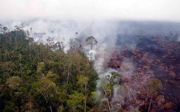 Bengkalis Tetapkan Siaga Karhutla 2017