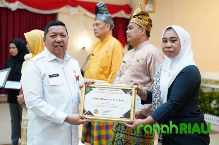 Tingkatkan Layanan Kesehatan, Bidan di Kampar Raih Penghargaan Gender Champion 2024