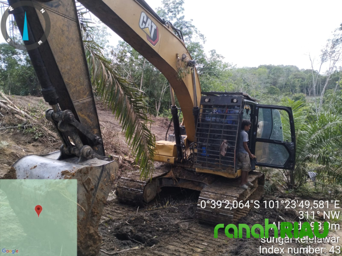 Kasus Perambahan Hutan Lindung Bukit Betabuh Berlanjut! Alwamen : Masyarakat Kuansing Harap Bersabar