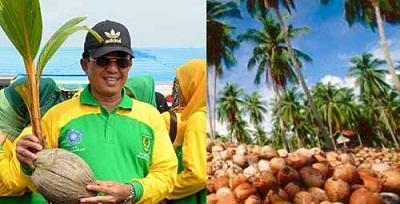 Festival Kelapa Internasional, kerennn... Hamparan Kelapa Terluas Di Dunia Ada di InHil 