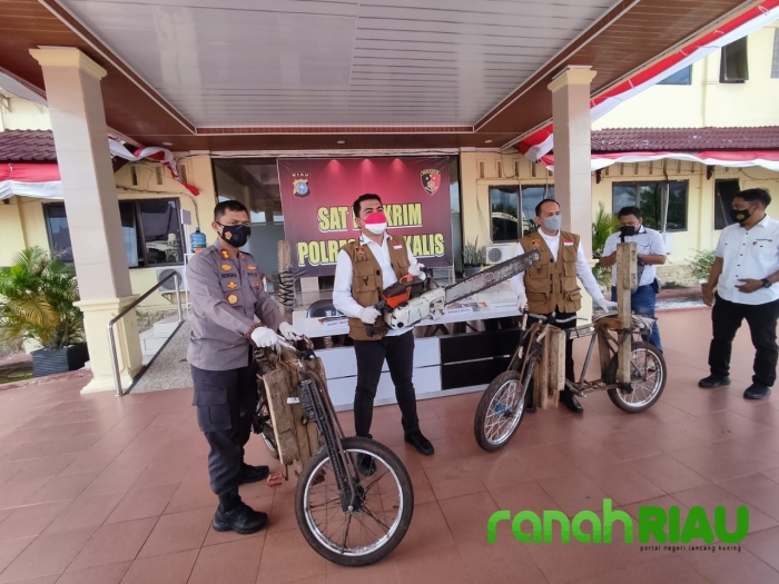 Polres Bengkalis Mengamankan Dua Orang Pelaku illegal Logging di Siak Kecil