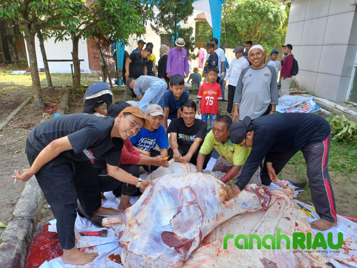 Momen keberkahan dan Berbagi di Idul Adha, PWI Riau Sembelih 7 hewan Qurban