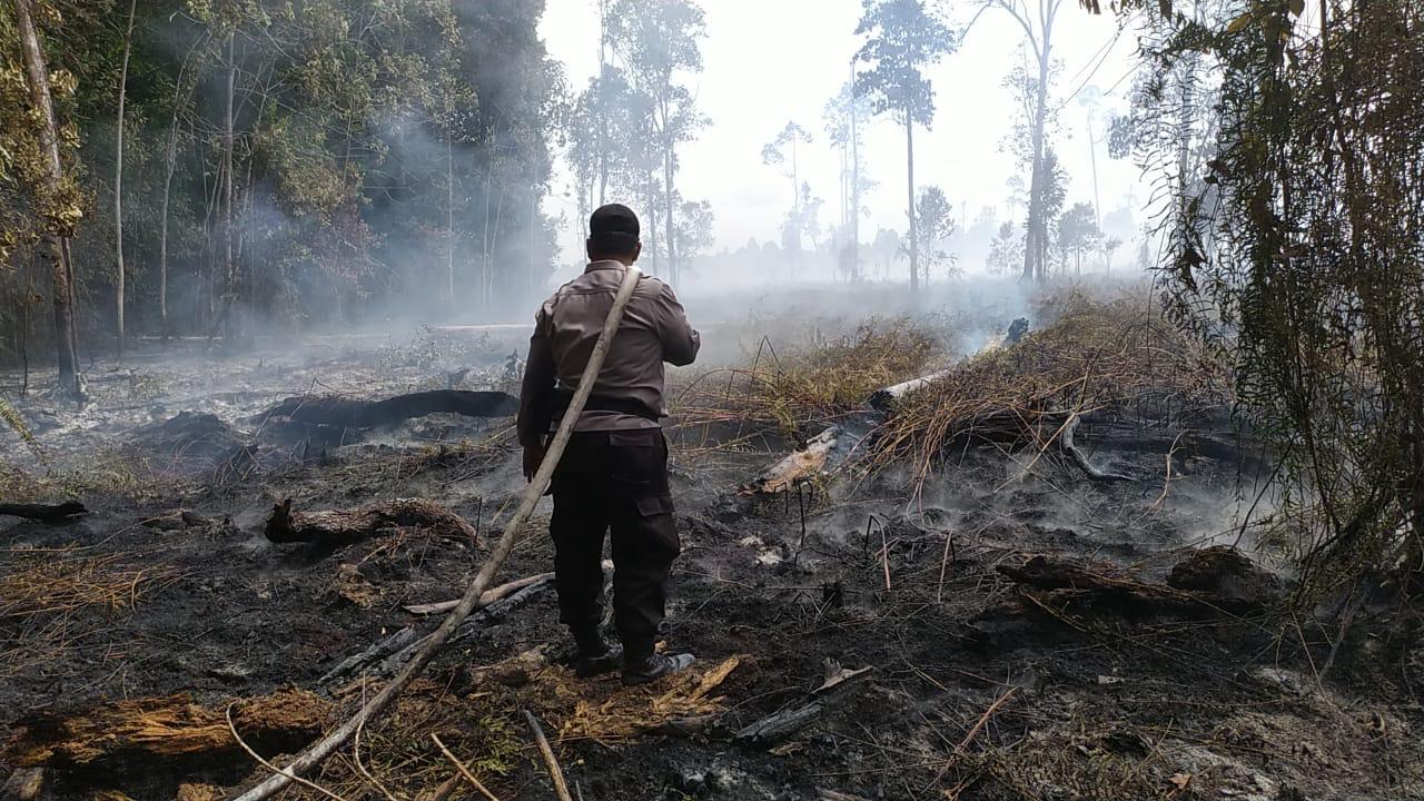 Tekan Karhutla, Kapolda Riau Akan Beri Pin Emas