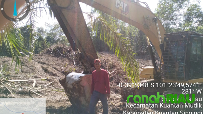 Breaking News: UPT KPH Singingi Tangkap Satu Unit Excavator di Hutan Lindung Bukit Betabuh