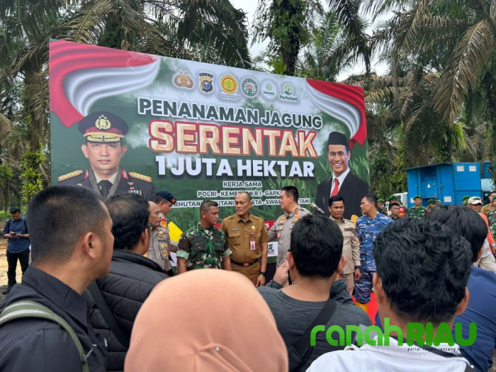 Pemprov Riau Dukung Swasembada Ketahanan Pangan, Gerakkan Sumber Daya Pertanian di Riau